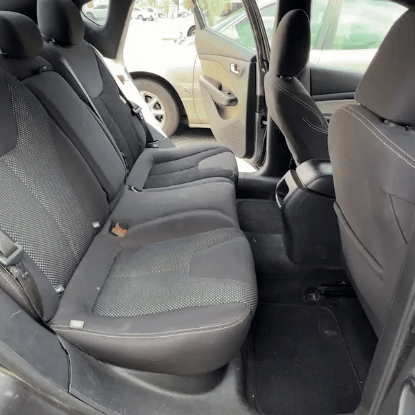 Paws & Ride Comfort Extender